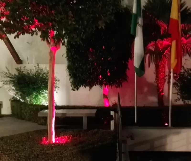 ILUMINACIÓN ZONAS VERDES EN MARBELLA